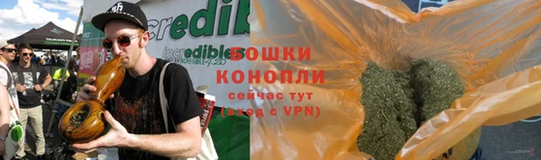 гашик Инта
