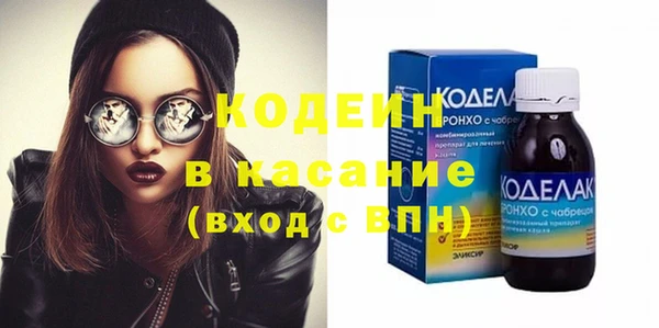 гашик Инта