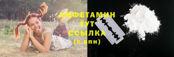 гашик Инта