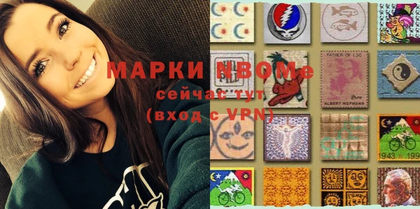 гашик Инта