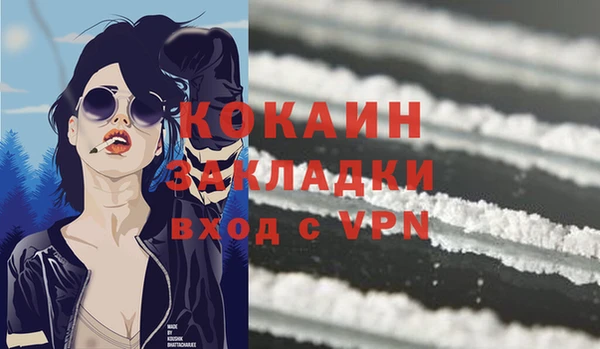 гашик Инта